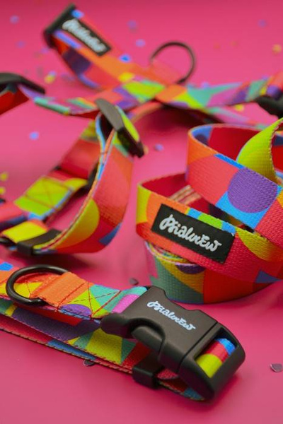 Halb-Klemmhalsband Kaleidoskop Psiakrew , 2,5 cm breit, für mittelgroße und größere Hunde, Schwarz-Beschläge, Psiakrew