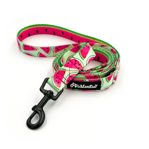 Walking leash for Dog Watermelon Psiakrew width 2 cm, black snap hook 6 cm