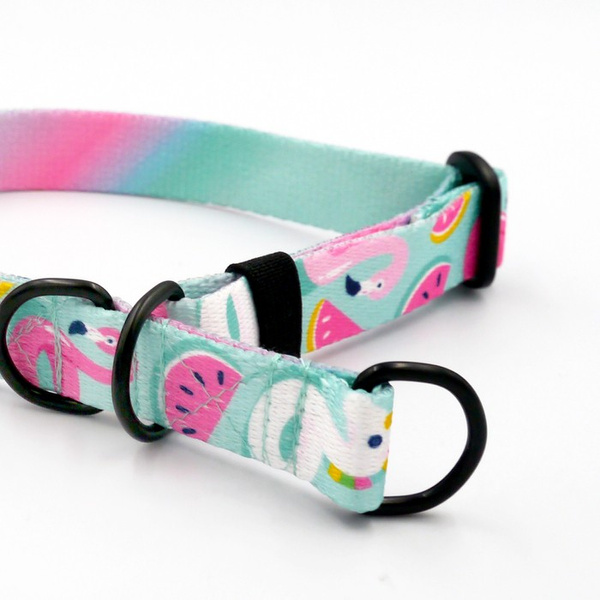 Half-Choke-Halsband Azure Pool, 2 cm breit, für kleine Hunde, schwarze Accessoires