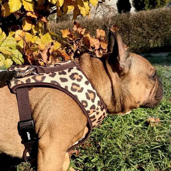 Dog Harness, Tarzan panthera pattern, Always Feeling Cool, Super Soft Psiakrew