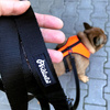 Black Dog Leash width 2.5 cm, 1" wide, big black snap hook 8 cm