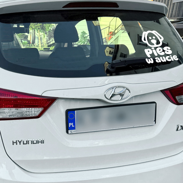 Naklejka Pies w aucie Psiakrew na szybę karoserię samochodową