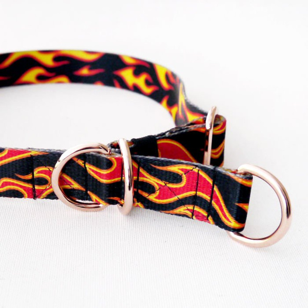 Half-choke collar Dog On Fire, 2.5 cm wide, medium and big dogs, rose gold