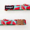 Dog Collar Psiakrew Watermelon, 2 cm 0.78" wide, for smaller dogs, pink gold clip