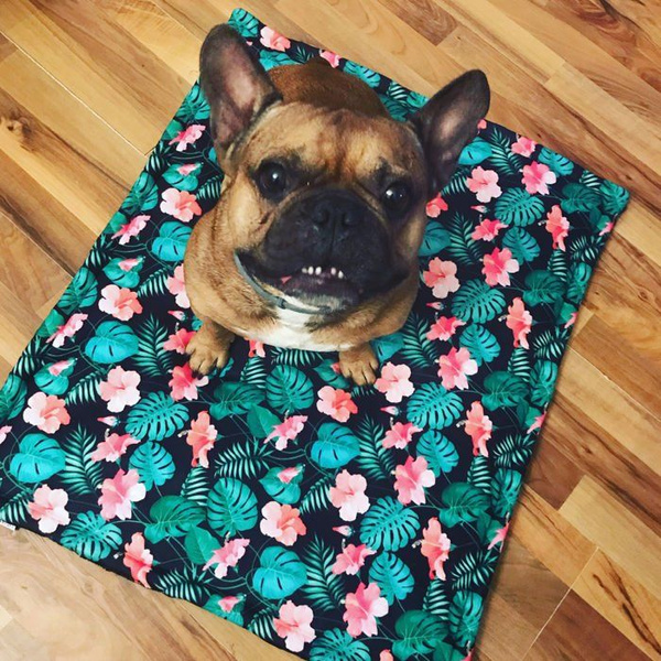 Kocyk dla psa Tropical Monstera Psiakrew, mata, pled dla psa w tropikalne wzory, polar Minky