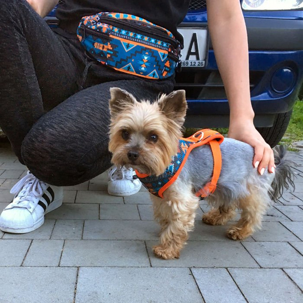 Fanny Pack Hip Bag Sorry Winnetou, Bum Bag Psiakrew