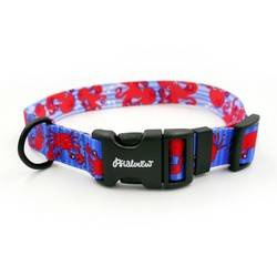 Dog Collar Psiakrew Sea Look 2.5 cm wide, black extras