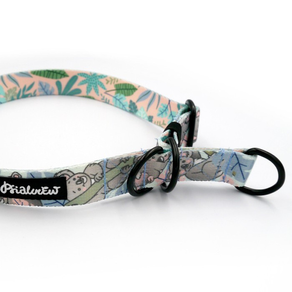Half-choke collar- Koala Bear, 2.5 cm wide, medium and big dogs, black extras