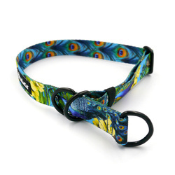 Obroża półzaciskowa Pawie Oczko Psiakrew 2,5 cm, dla średnich i większych psów, czarne dodatki