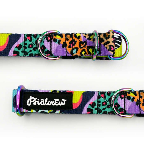 Obroża półzaciskowa Crazy Leopard szeroka na 2 cm, dla małych psów, Holo dodatki