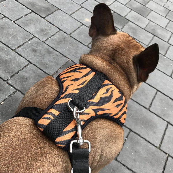 Dog Harness Tiger, Animal print, Always Feeling Cool, Super Soft Psiakrew
