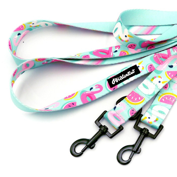 Dog Leash Azure Pool width 2.5 cm, 1"  wide, snap hook black 6cm
