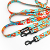 Long Dog Leash Blue Lagoon Psiakrew width 2 cm (0.78"), black snap hook 6 cm