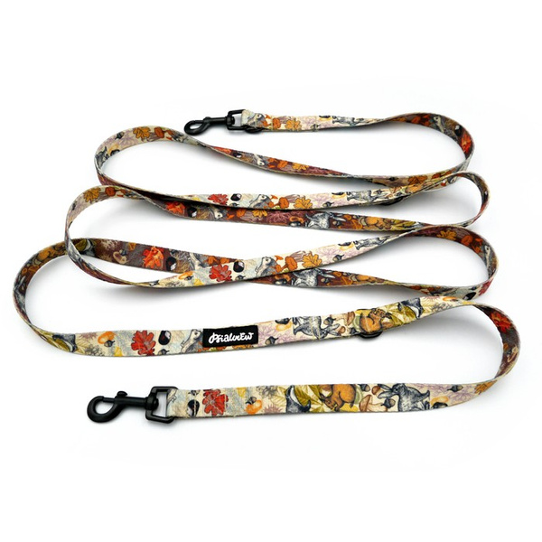 Long Dog Leash Forest Treasures Psiakrew width 2 cm (0.78"), black snap hook 6 cm