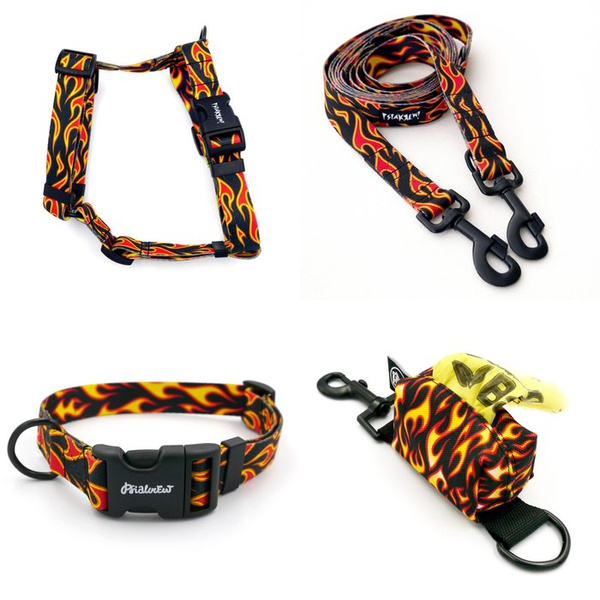 ZUBEHÖRSATZ. Großer Hund. Dog on Fire Psiakrew - Serie; Halsband, Geschirr, Leine, Etui für Kotbeutel