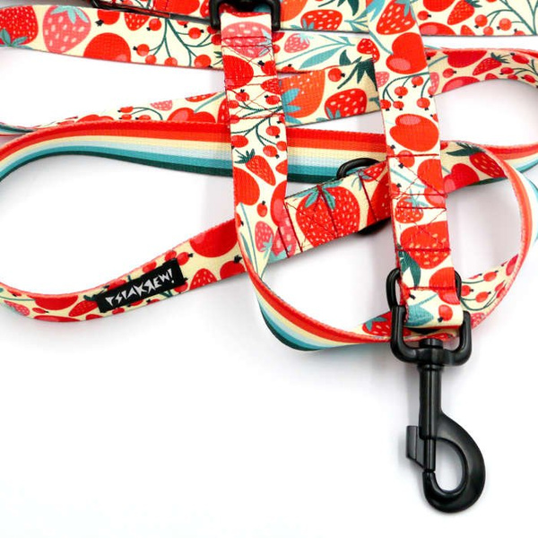 Dog Leash Fruit Jelly width 2.5 cm, 1" wide, black snap hook 8cm