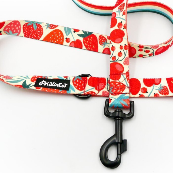 Dog Leash Fruit Jelly width 2.5 cm, 1" wide, snap hook glossy nickel 7cm