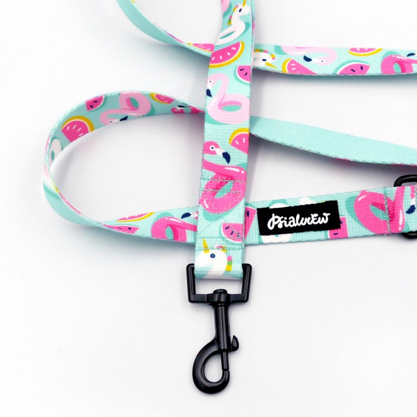 Dog Leash Azure Pool width 2.5 cm, 1"  wide, black snap hook 6 cm