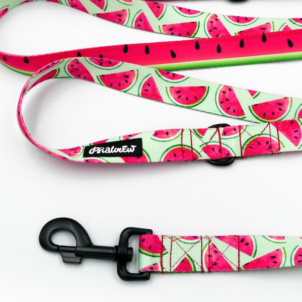 Smycz Dla Psa Przepinana Regulowana Watermelon Psiakrew 2,5 cm, duży czarny karabińczyk