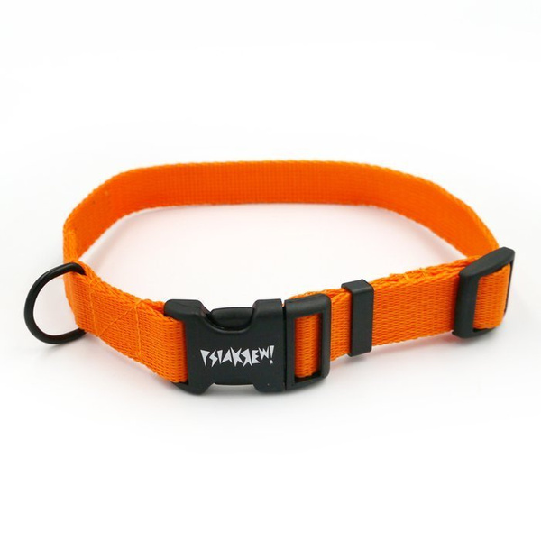 Orange Collar for dog Psiakrew, 2 cm 0.78"  wide, for smaller dogs