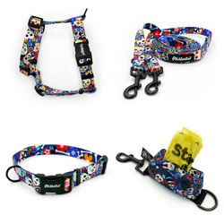 ACCESSORY KIT. Small dog. Dia de Los Muertos Psiakrew Series; Collar, Harness, Leash, Pouch