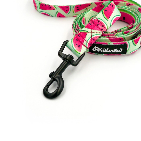 Smycz spacerowa miejska dla Psa Watermelon Psiakrew szerokość 2 cm czarny karabińczyk 6 cm