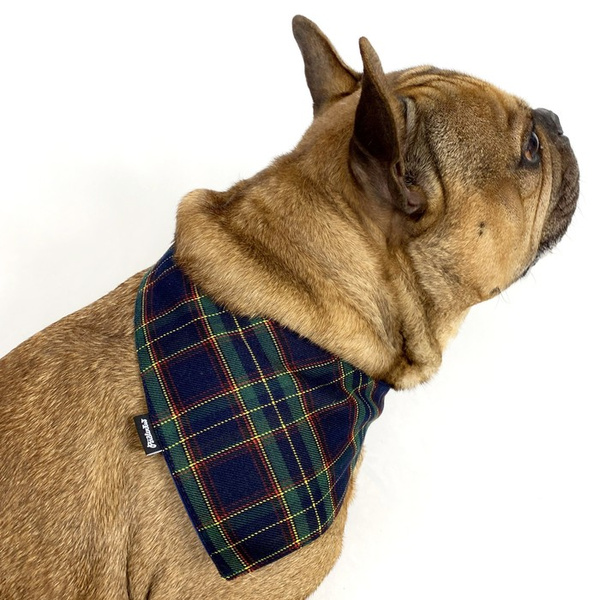 Hunde-Bandana Tartan Dunkelblaues Taschentuch zum Binden um den Hals Ihres Haustieres