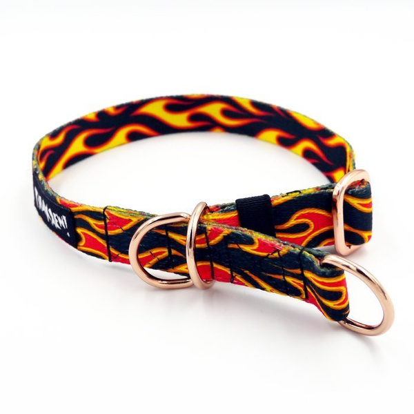 Half-choke collar Dog On Fire, 2 cm wide, for small dogs, golden extras