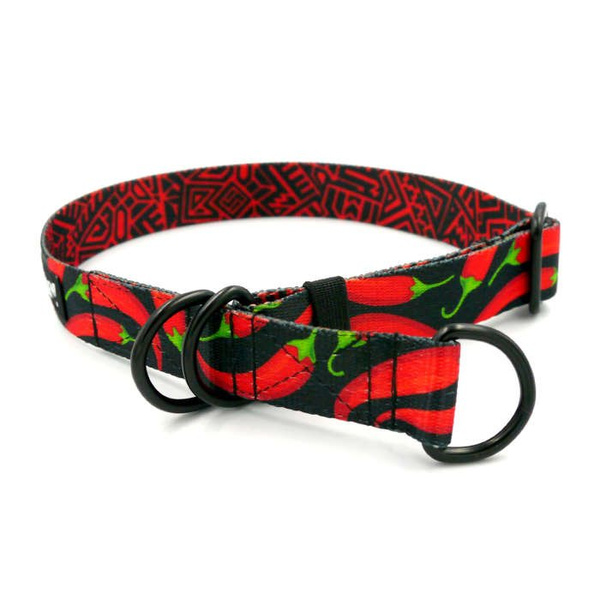 Half-choke collar Red Hot Chili, 2.5 cm wide, medium and big dogs, black extras