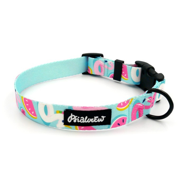Dog Collar Azure Pool Psiakrew 2.5 cm 1"  wide, black fittings