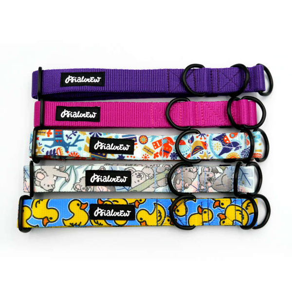 Half-Choke-Halsband für Hund- Ducky Duck, 2,5 cm breit, für mittlere und größere Hunde, schwarze Beschläge