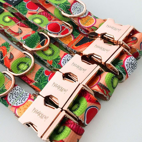 Obroża dla Psa Regulowana Tutti Frutti, wąska 2 cm, dla mniejszych psów i szczeniaków