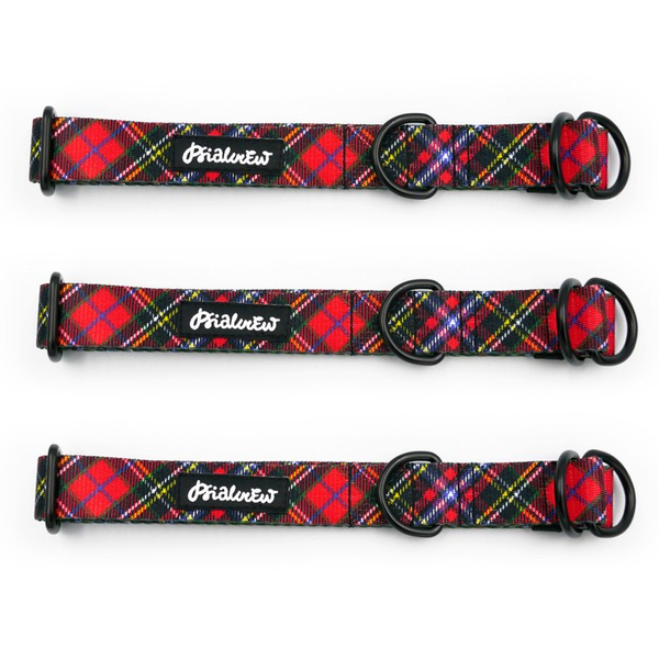 Half-choke collar Tartan Psiakrew, 2.5 cm wide, medium and big dogs, black extras