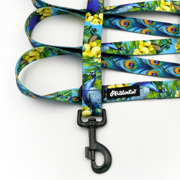 Długa smycz dla psa przepinana Pawie Oczko Psiakrew, taśma 2,5 cm karabińczyk 8 cm czarny