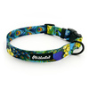 Dog Collar Peacock's Eye Psiakrew 2.5 cm 1"  wide, black fittings