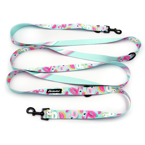 Hundeleine Azure Pool Psiakrew, Breite 2,5 cm, Karabiner 6 cm schwarz