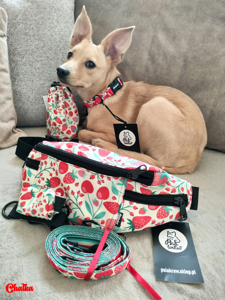 Long Dog Leash Fruit Jelly Psiakrew width 2 cm (0.78"), black snap hook 6 cm