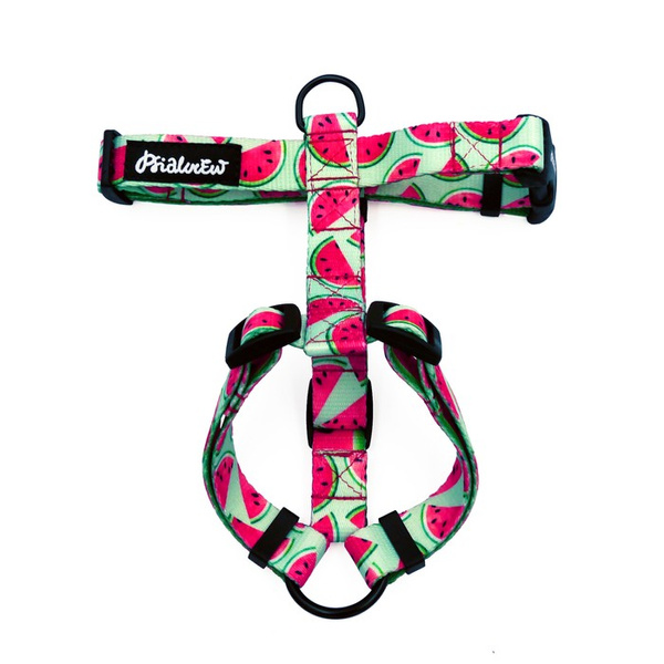 Harness for Dog, Model Watermelon Guard Harness Small Harness for small dogs, puppies, black extras