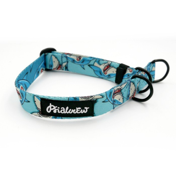 Half-choke collar Shark, 2 cm wide, for small dogs, black extras