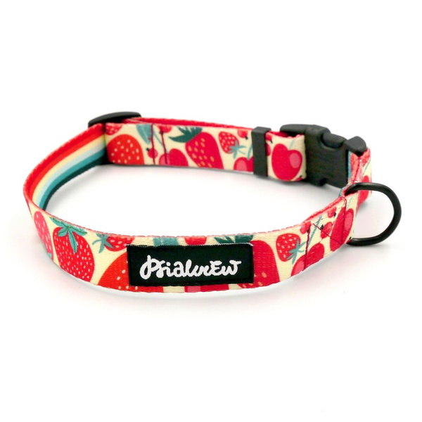 Verstellbares Halsband Fruit Jelly Psiakrew, 2cm breit, schwarze Beschläge