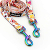 Long Dog Leash Hot Sweetness width 2 cm (0.78")  wide, Holo  petrol effect snap hook 7 cm