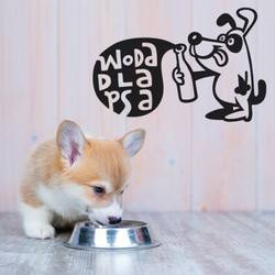 WASSER FÜR DEN HUND Dekorativer Information Aufkleber Psiakrew