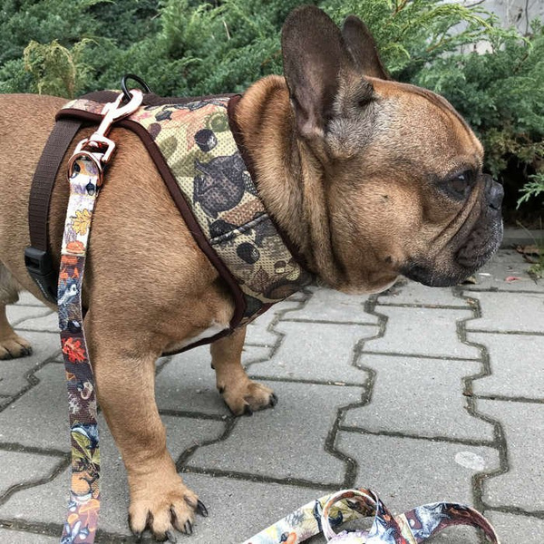 Dog Harness Forest Treasures, Always Feeling Cool, Super Soft Psiakrew