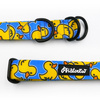 Half-choke collar- Ducky Duck, 2.5 cm wide, medium and big dogs, black extras