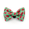 Dog Bow Tie Watermelon, Pet Bow Tie, Bowtie, Collar Attachment