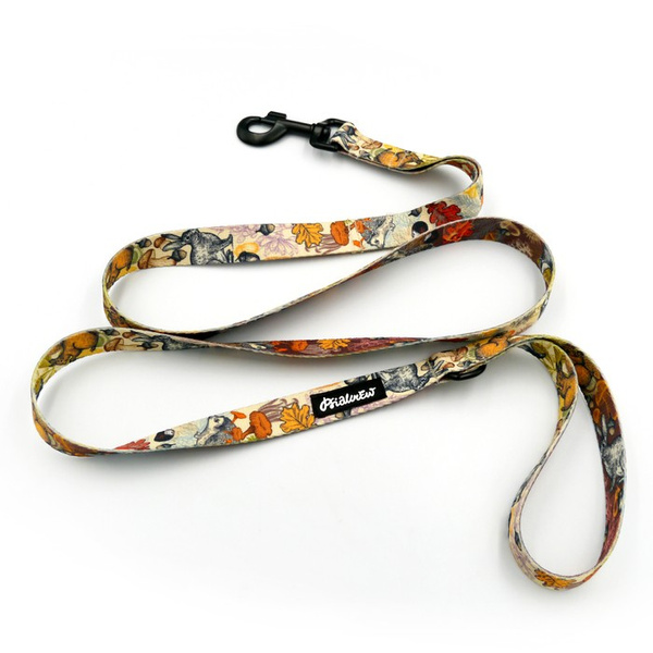 Dog Leash Forest Treasures Psiakrew width 2.5 cm, 1"  wide, big black snap hook 8 cm