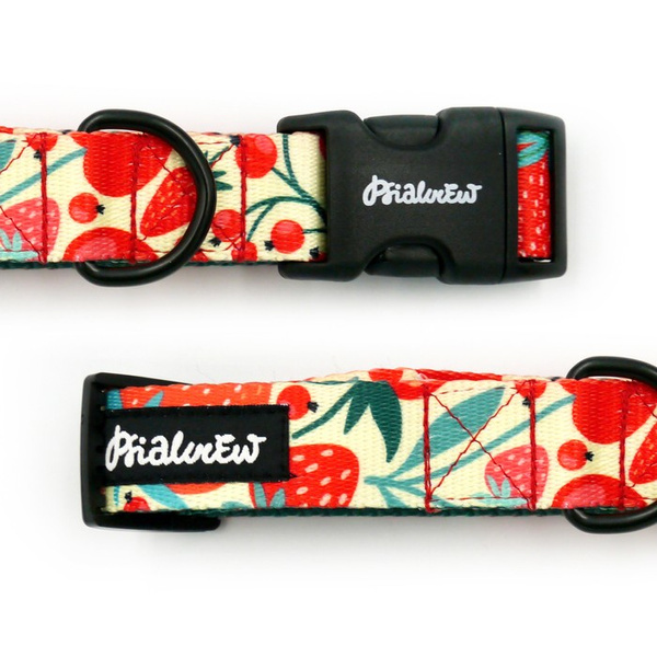 Verstellbares Halsband Fruit Jelly Psiakrew, 2,5 cm breit, schwarze Beschläge