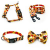 ACCESSORY KIT. Small dog. Hedgehog Dreamer Psiakrew  Series; Collar, Harness, Leash, Bow tie