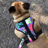 Dog Harness Crazy Leopard, Always Feeling Cool, Super Soft Psiakrew