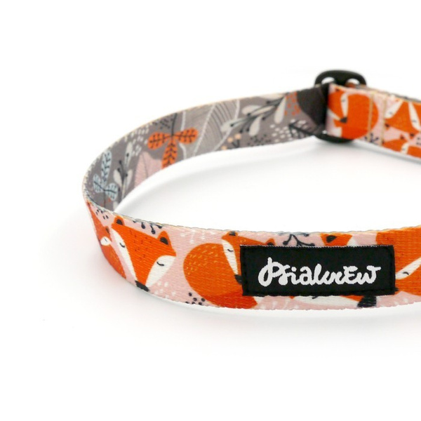 Half-choke collar Foxy Lady, 2.5 cm wide, medium and big dogs, black extras